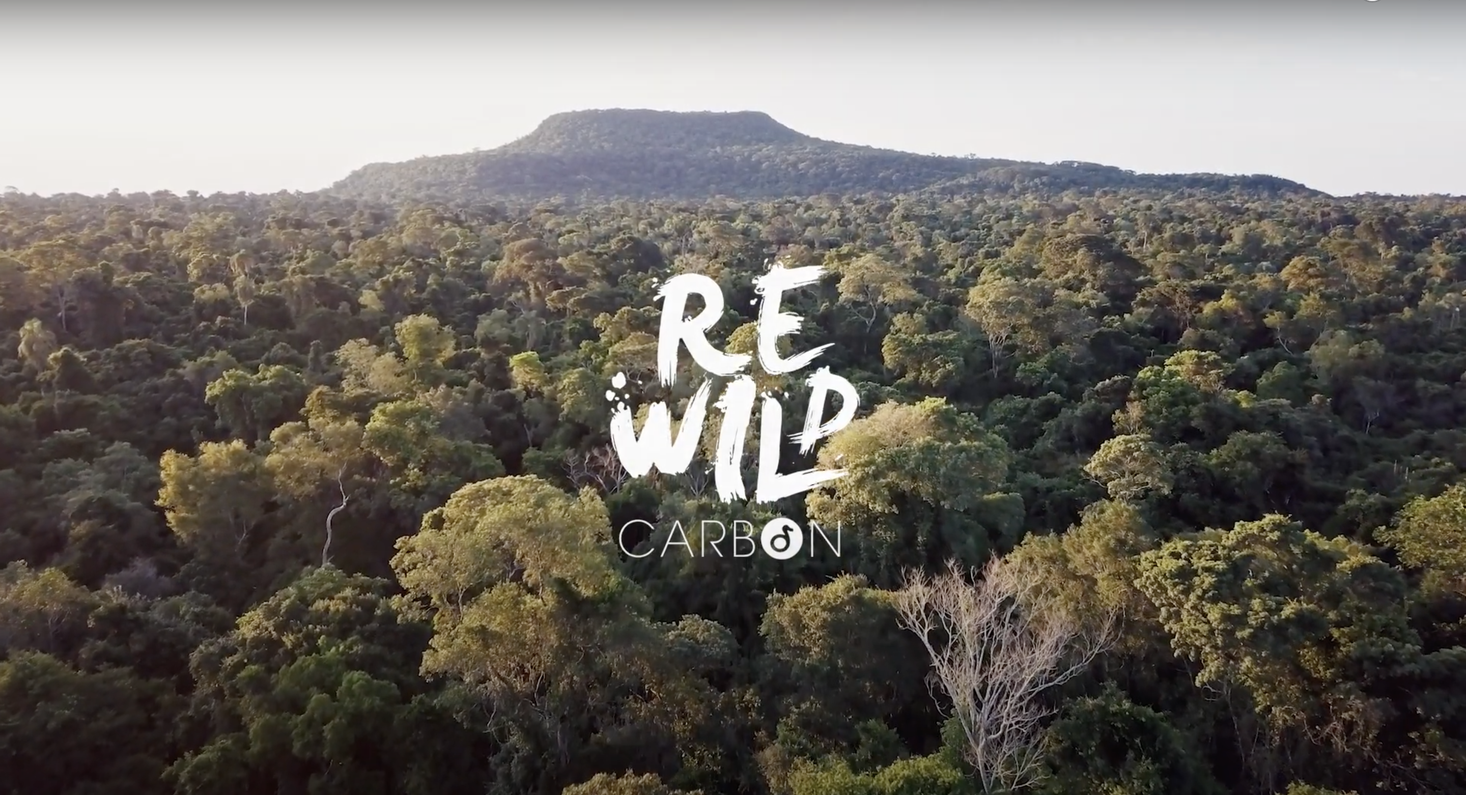 Becoming leaders in Sustainable Finance 