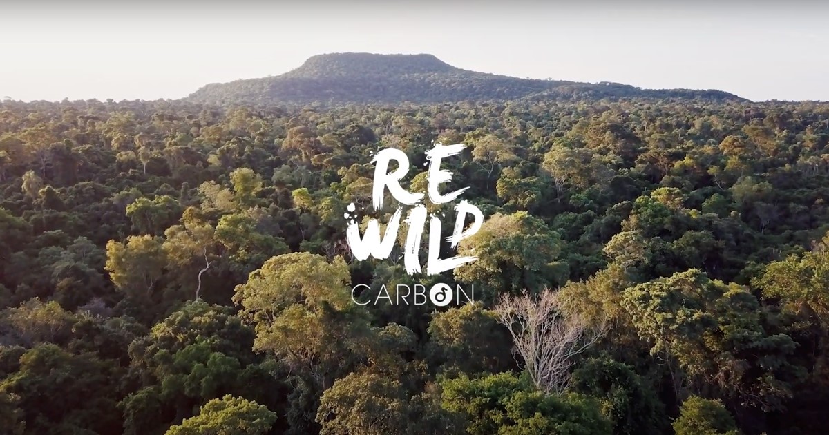 Rewild Carbon Impact Report: Oak’s ESG commitment in action