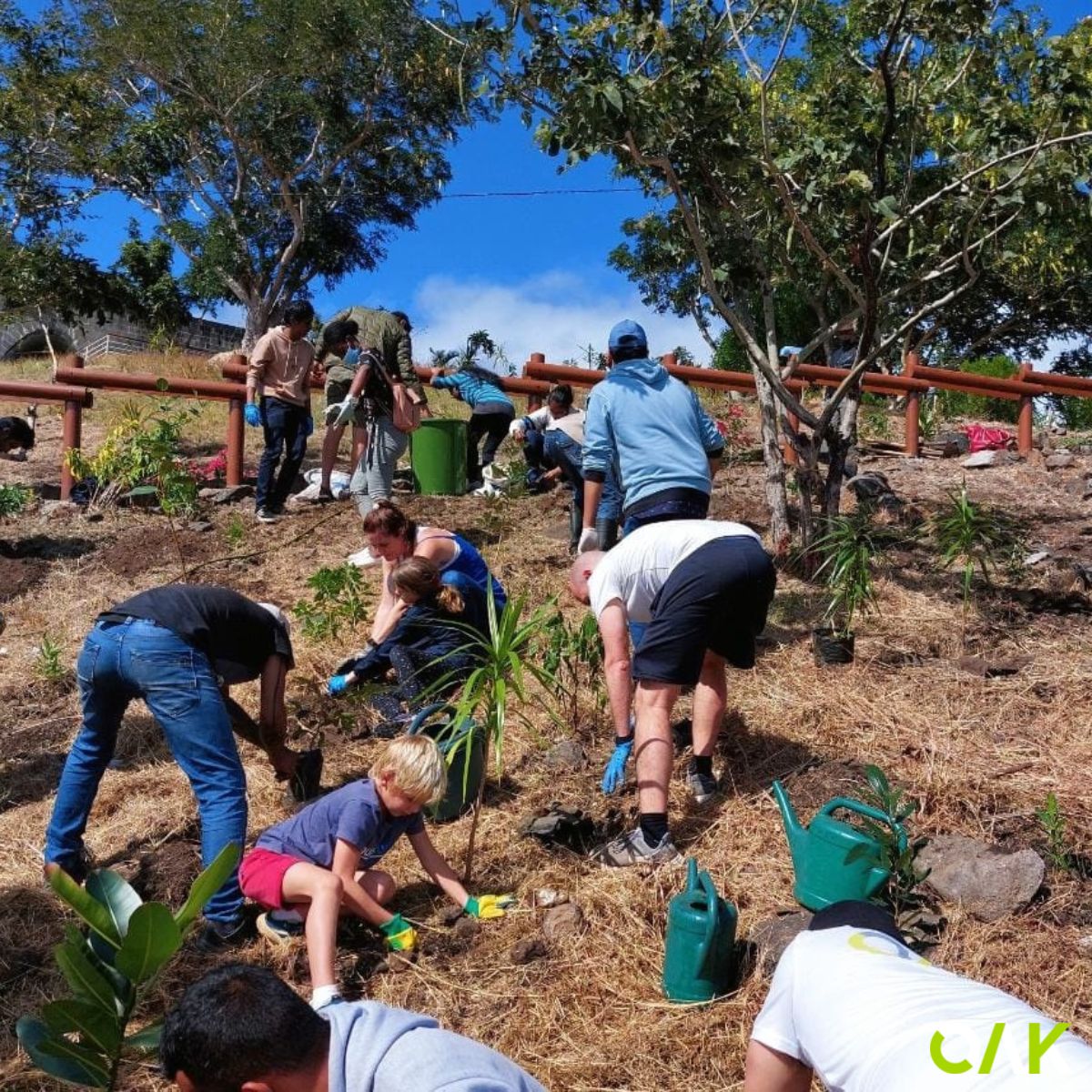 Mauritius celebrates World Environment Day